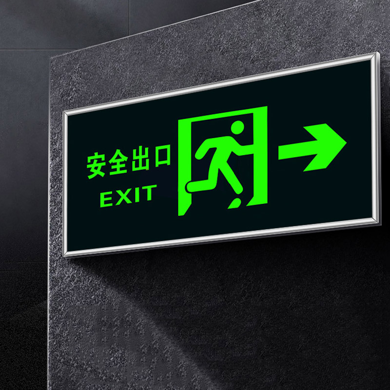 Luminous Safety Exit Signage D - Emergency Exit Sign 리뷰 및 가격