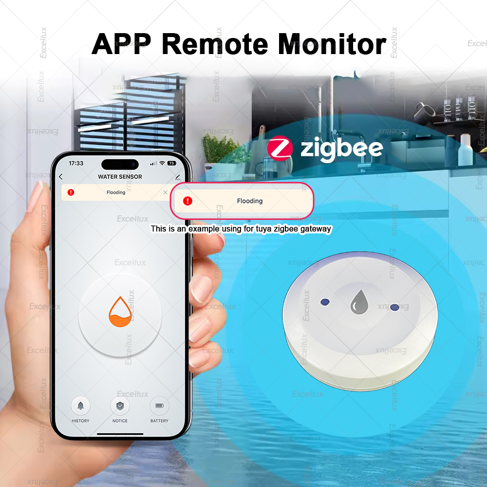 Zigbee Water Detector Leakage  - Water Alarm Sensor 리뷰 및 가격