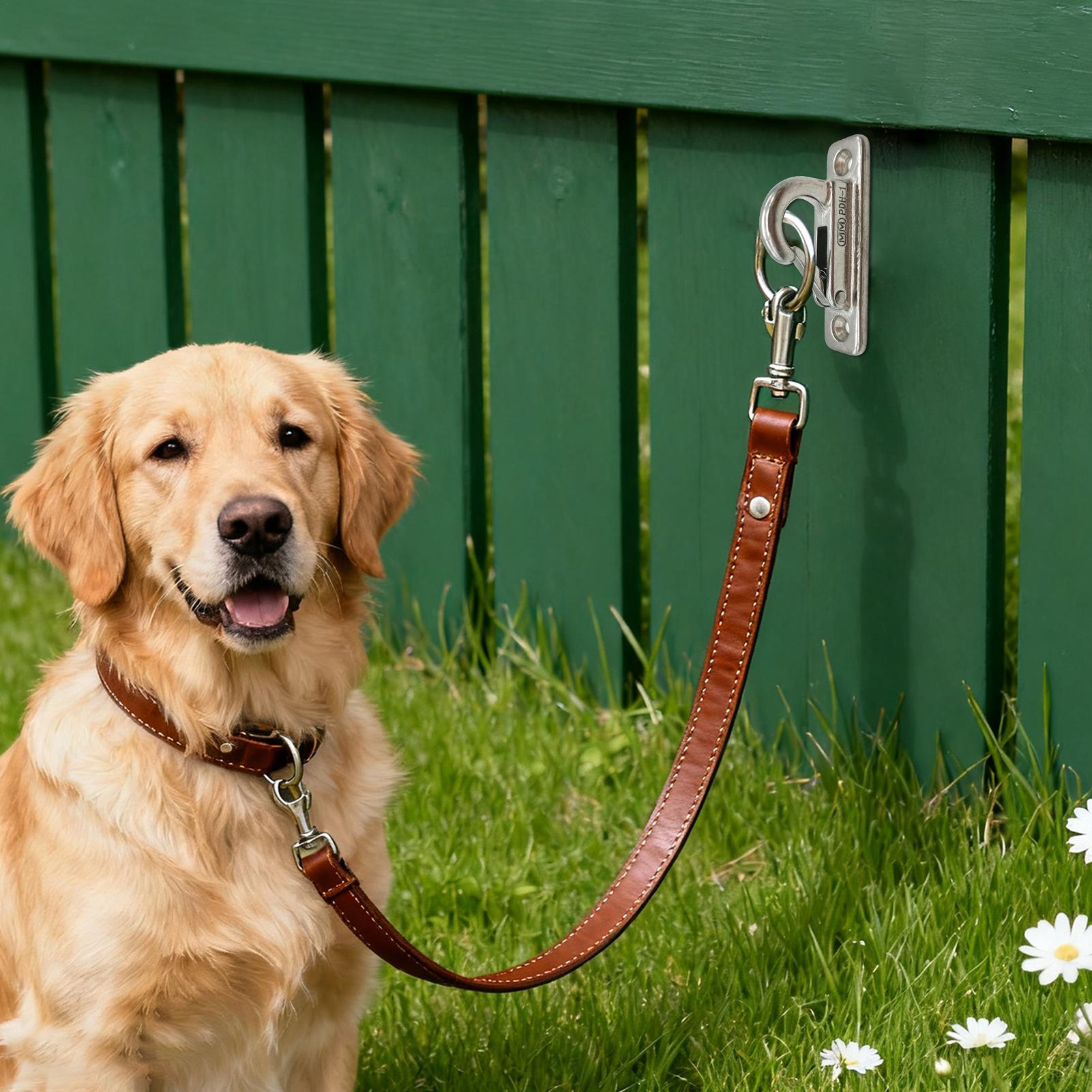 Dog Leashes Holder for Wall Pe - Security Chain Door 리뷰 및 가격