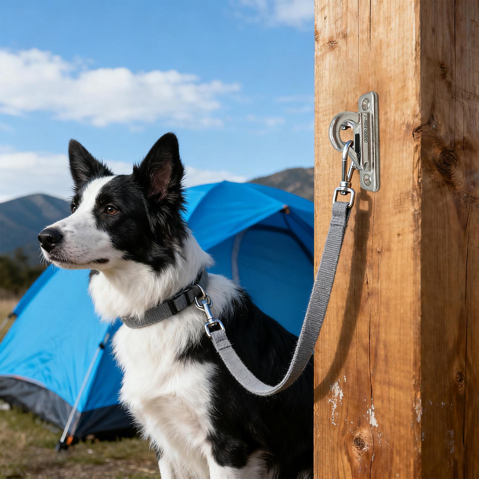 Dog Leashes Holder for Wall Pe - Security Chain Door 리뷰 및 가격