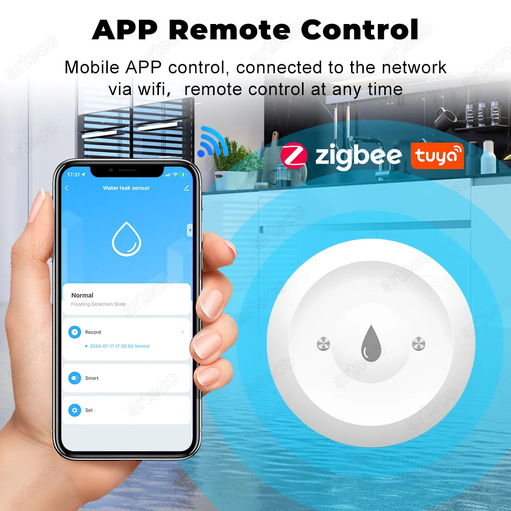 Tuya Smart Zigbee Water Leakag - Water Alarm Sensor 리뷰 및 가격