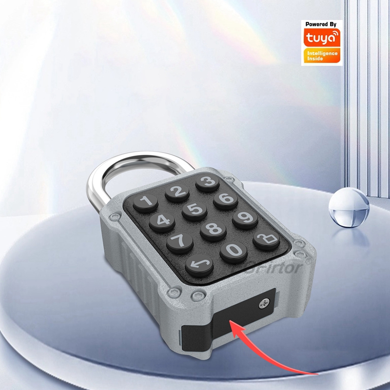 EGFirtor Tuya APP Electronic S - Lockbox Key Secure 리뷰 및 가격