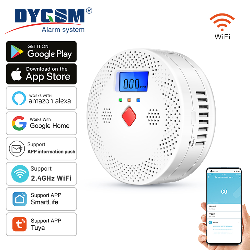 Tuya WiFi Smart Carbon Monoxid - Co Detector Plug 리뷰 및 가격