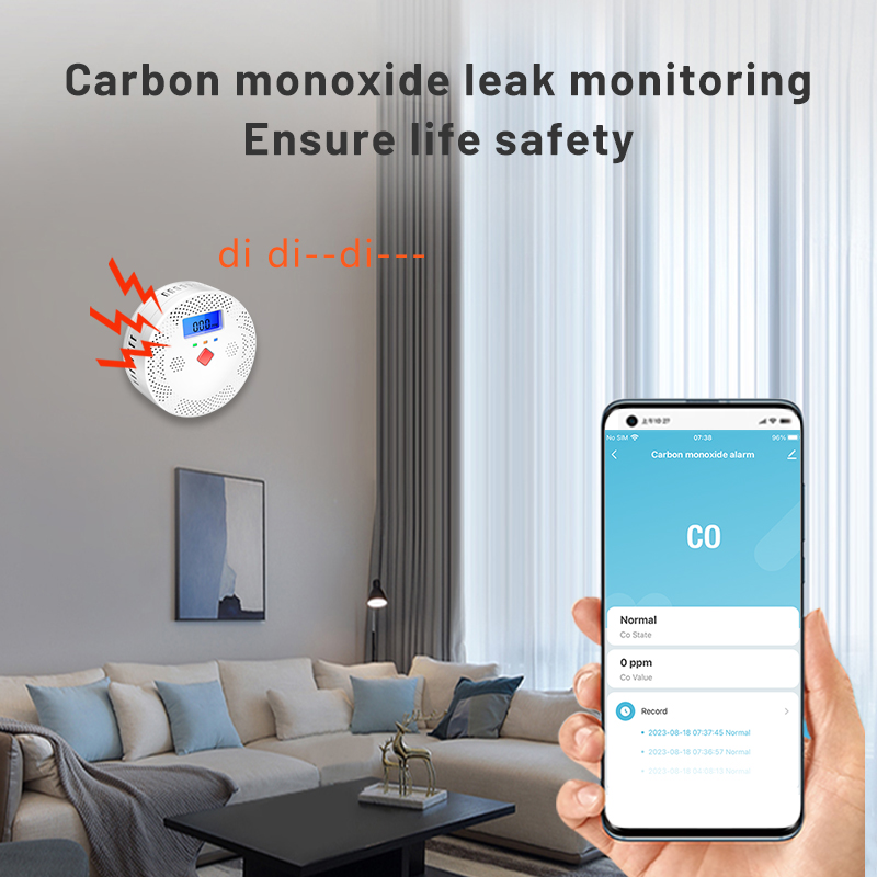 Tuya WiFi Smart Carbon Monoxid - Co Detector Plug 리뷰 및 가격